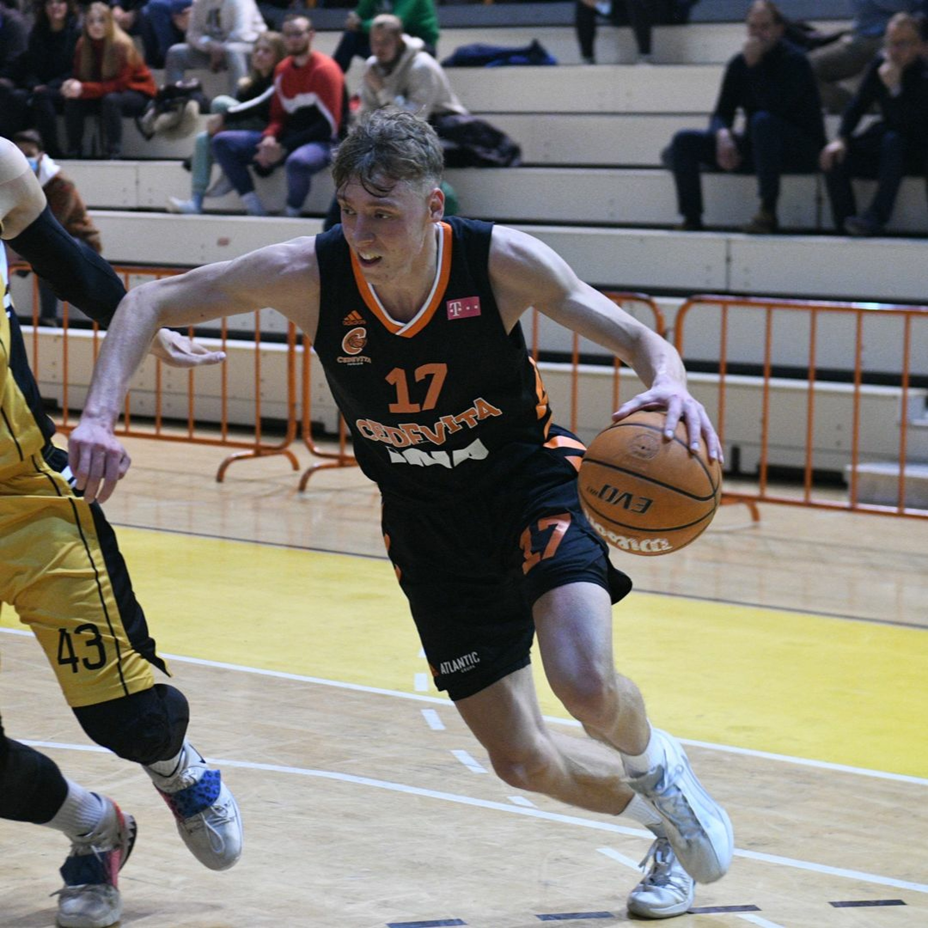 kkcedevita