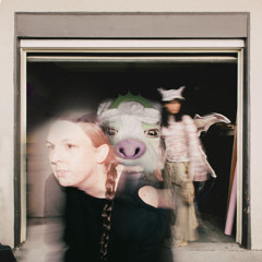 Blue Rags, Raging Wind (Kerry McCoy Remix) [feat. Amigone]