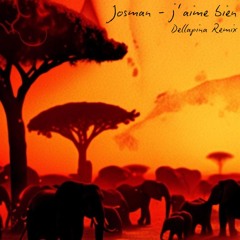 Josman - J'aime bien (Dellapina Remix)