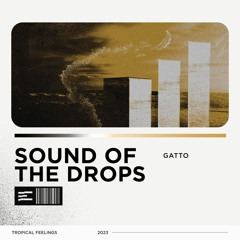 Gatto - Sound Of The Drops (Extended Mix)