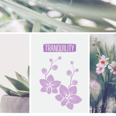 Tranquility