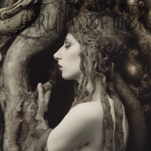 4) See the real treasure of the wyvern (of stone and water)