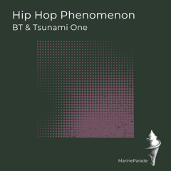 Hip Hop Phenomenon
