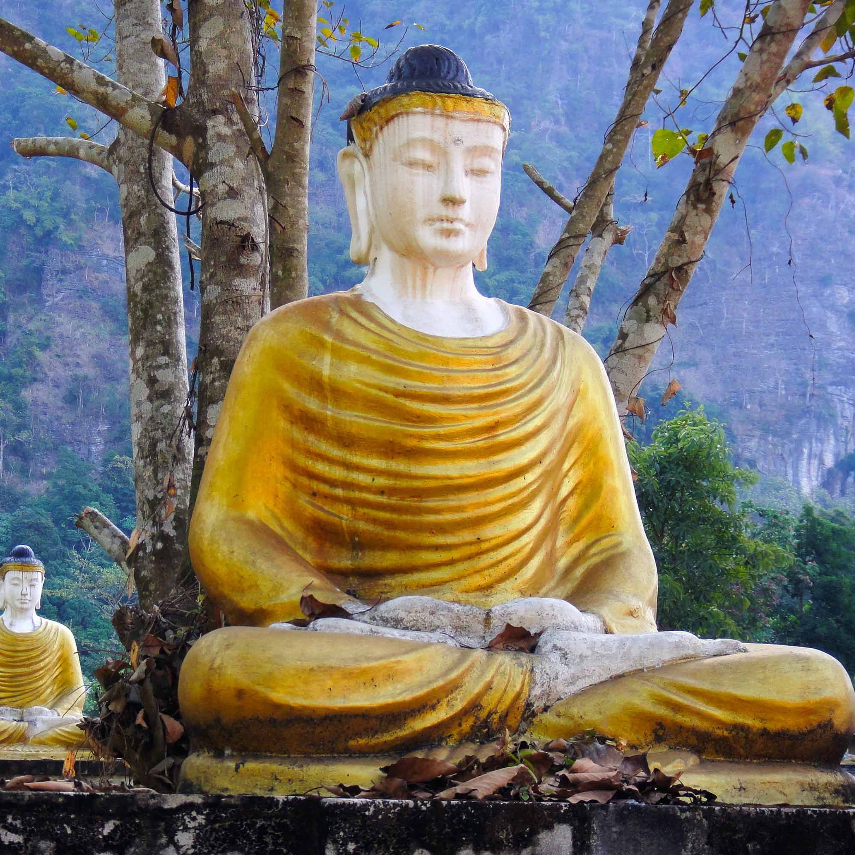Associazione Kalyanamitta: Meditazione, Mindfulness, Buddhismo