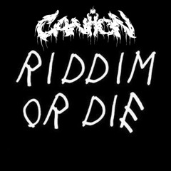 What is Riddim? (OFFCORE)