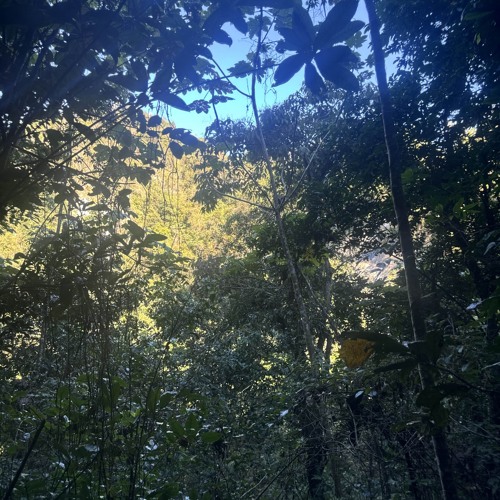 mazarisxo - wack (schell + zillatt) [8Teen exclusive + slump audios & hvn]