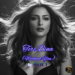 Tere Bina - तेरे बिना