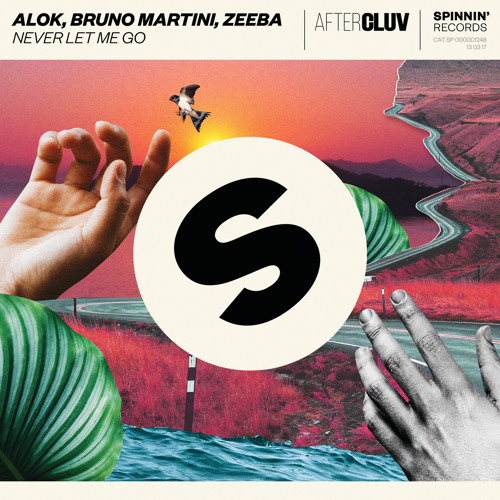 Never Let Me Go (Radio Edit)