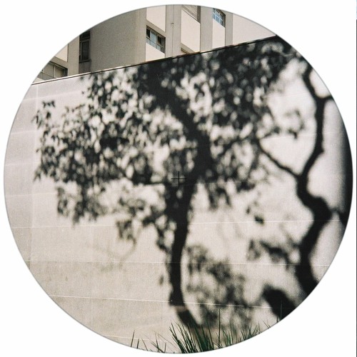 Montei - Gulesserian (Camelia Remix)