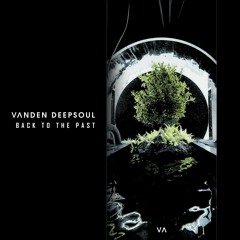 Vanden Deepsoul - Agua (Original Mix)