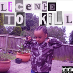 LICENCE TO KILL