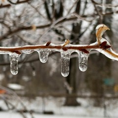 Danny Boy Wintry Sessions 2022