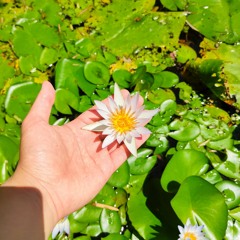 Hear my song wondrous love(聽我唱奇妙愛)