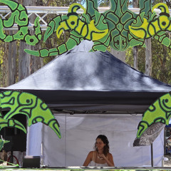 Psychedelic Grooviness @ Ritual of the Trickster