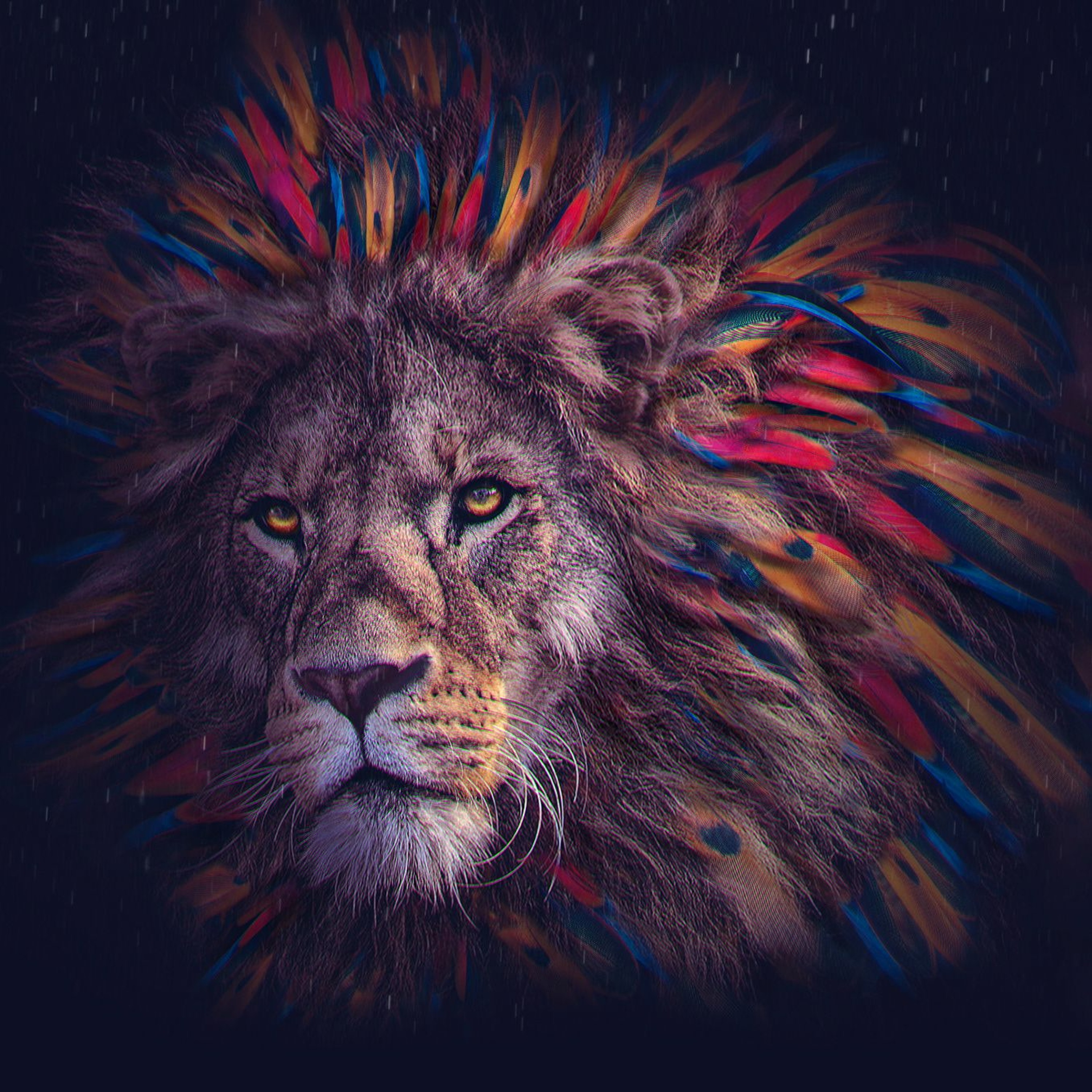 THE RETURN TO THE SAVANNAH episode artwork