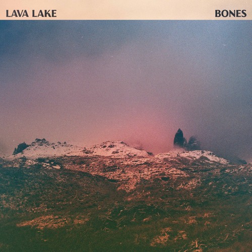 Bones
