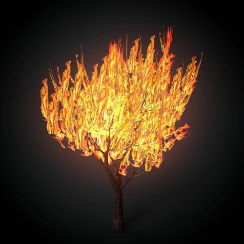 DMT XX- DMT ELF LAND - PROD by. netuh