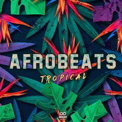 Godlike Loops - Afrobeats Tropical