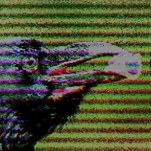 Sleepwalking To Disaster