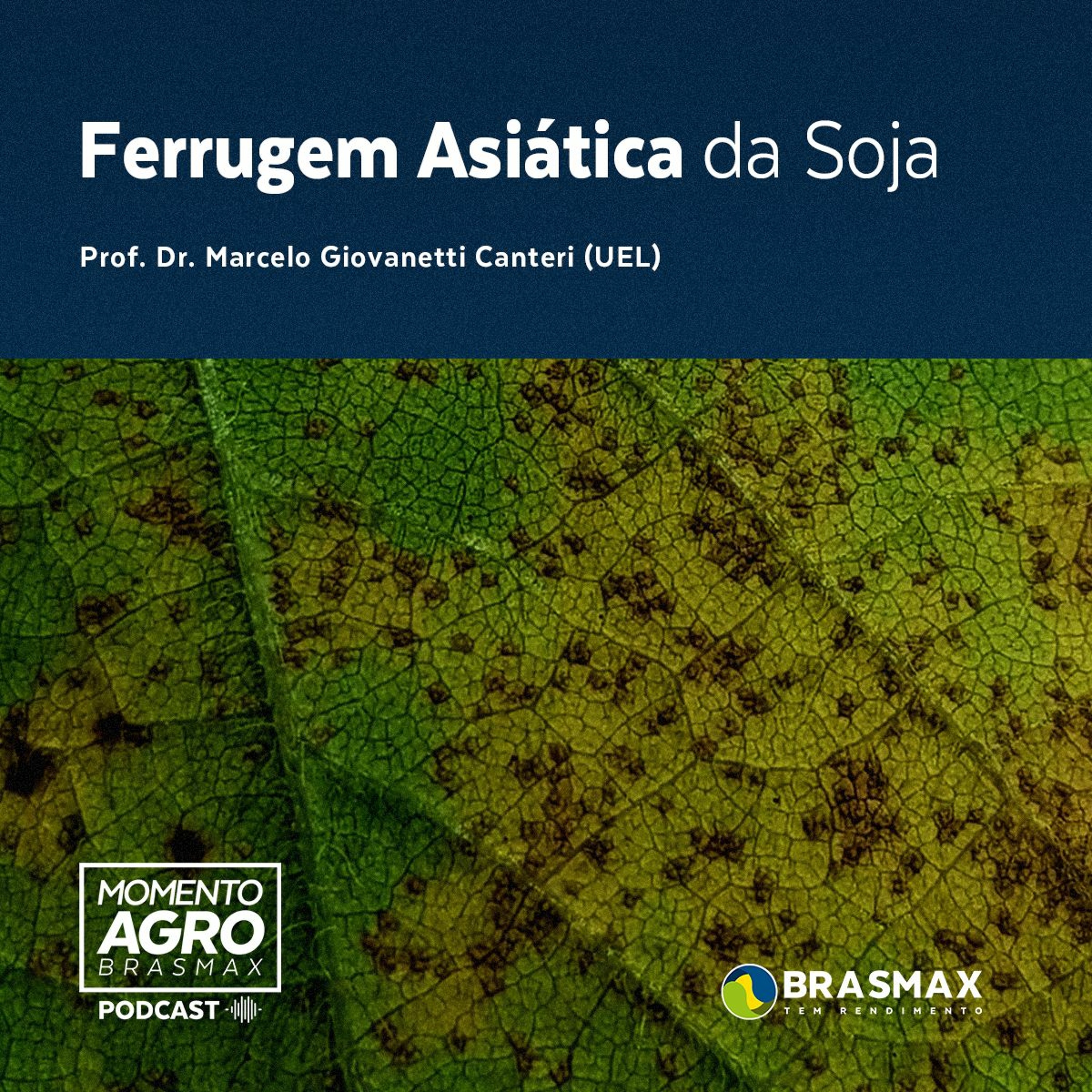 Momento AGRO Brasmax