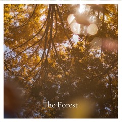 The Forest