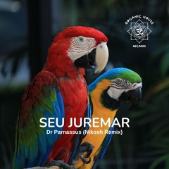 Dr Parnassus - Seu Juremar (Nikosh Remix)    Free Download
