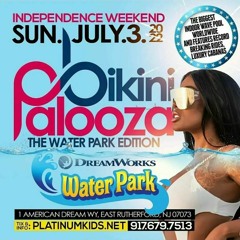 BIKINI PALOOZA PROMO MIX .mp3