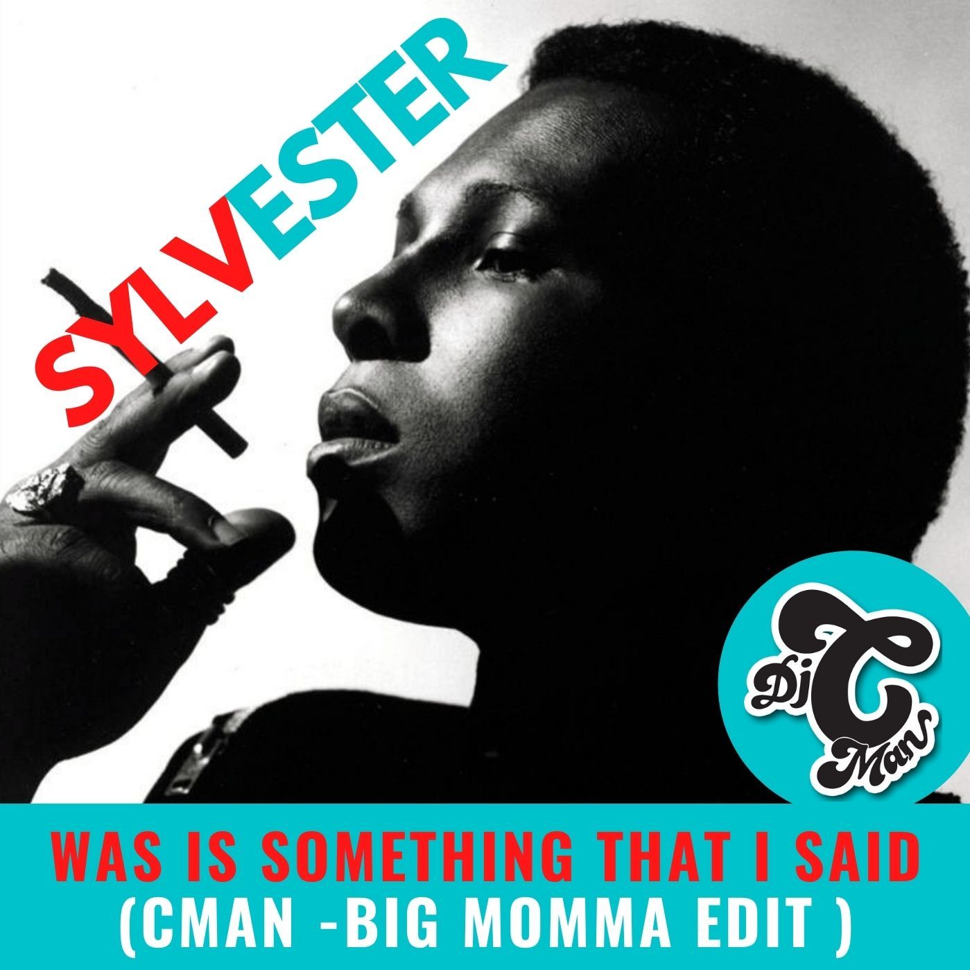 Sylvester - Was It Something That I Said (CMAN Big Momma Edit)