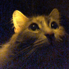 dont make me your enemy