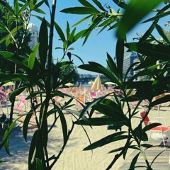 Michael Dehli @Strandbar Herrmann 2024 (DJ Set)