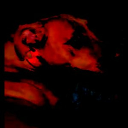 Old And Shitty Song