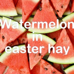 Watermelon in Easter Hay (Frank Zappa cover)