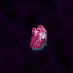 Bok - Concrete Jungle