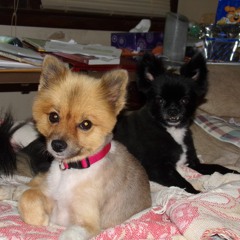 Probably Wouldn't Be This Way - LeAnn Rimes Cover