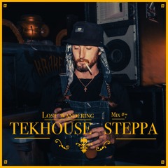 TekHouse Steppa