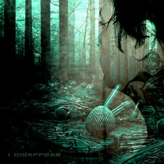 I Disappear