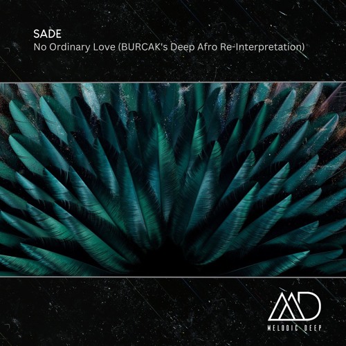 FREE DOWNLOAD: Sade - No Ordinary Love (BURCAK's Deep Afro Re - Interpretation)