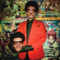 abelmix 6