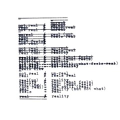 ambient lofi house {distorted} ^Japanese raccoons