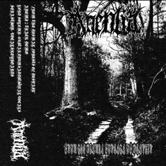 Anemia - From The Dismal Forest Of Despair Demo (Raw Depressive Black Metal)