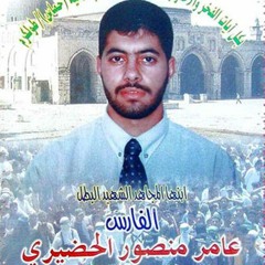أحمد ومحمود عامر حضيري