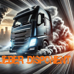 Lieber Disponent