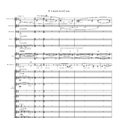 Dear Matafele Peinam: i want to tell you (mezzo and orchestra)