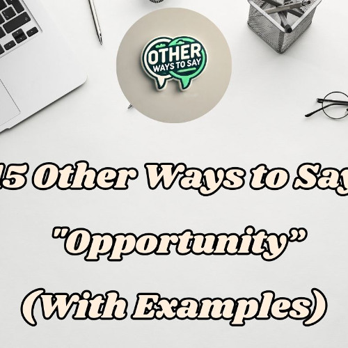 OTHER WAYS TO SAY OPPORTUNITY WITH EXAMPLES visual data 4