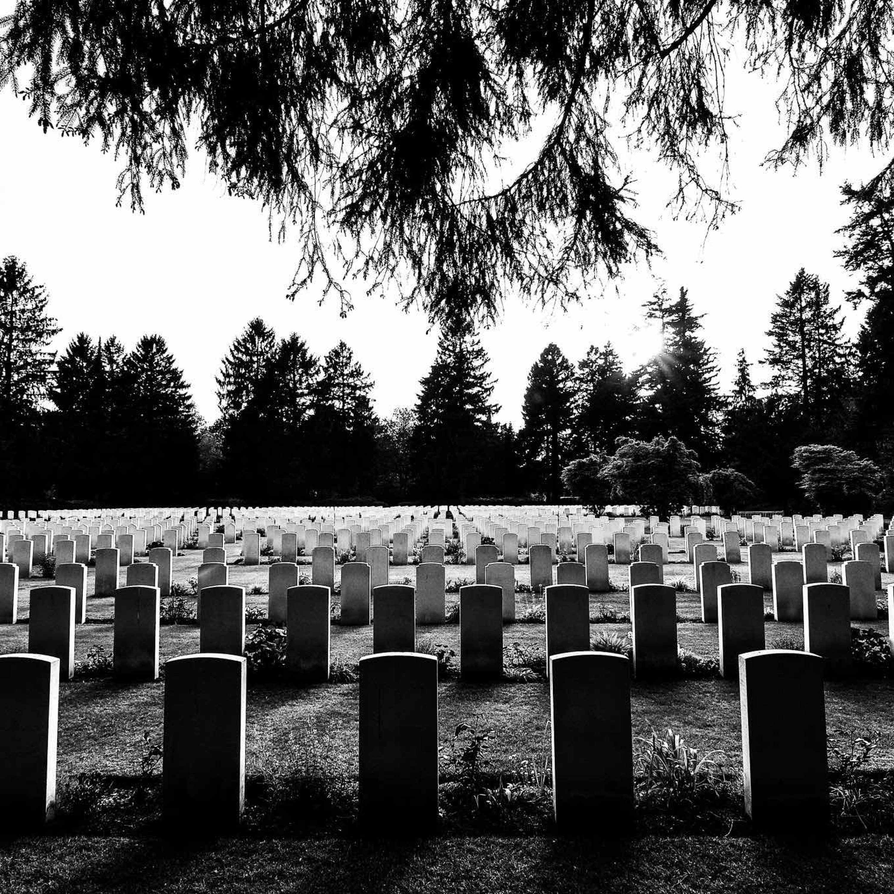WHAT HAPPENS WHEN WE DIE – Homily for 5th Sunday of Easter May 18, 2025 episode artwork