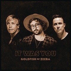It Was You (feat. Zeeba)
