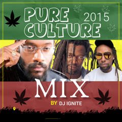 PURE CULTURE 2015