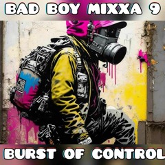 BAD BOY MIXX 9 (BURST OF CONTROL)