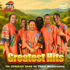 Mateso - Reggae Soul Radio Edit