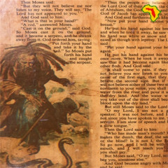 Holy Grung Remix ft Buju Banton - Dub Section